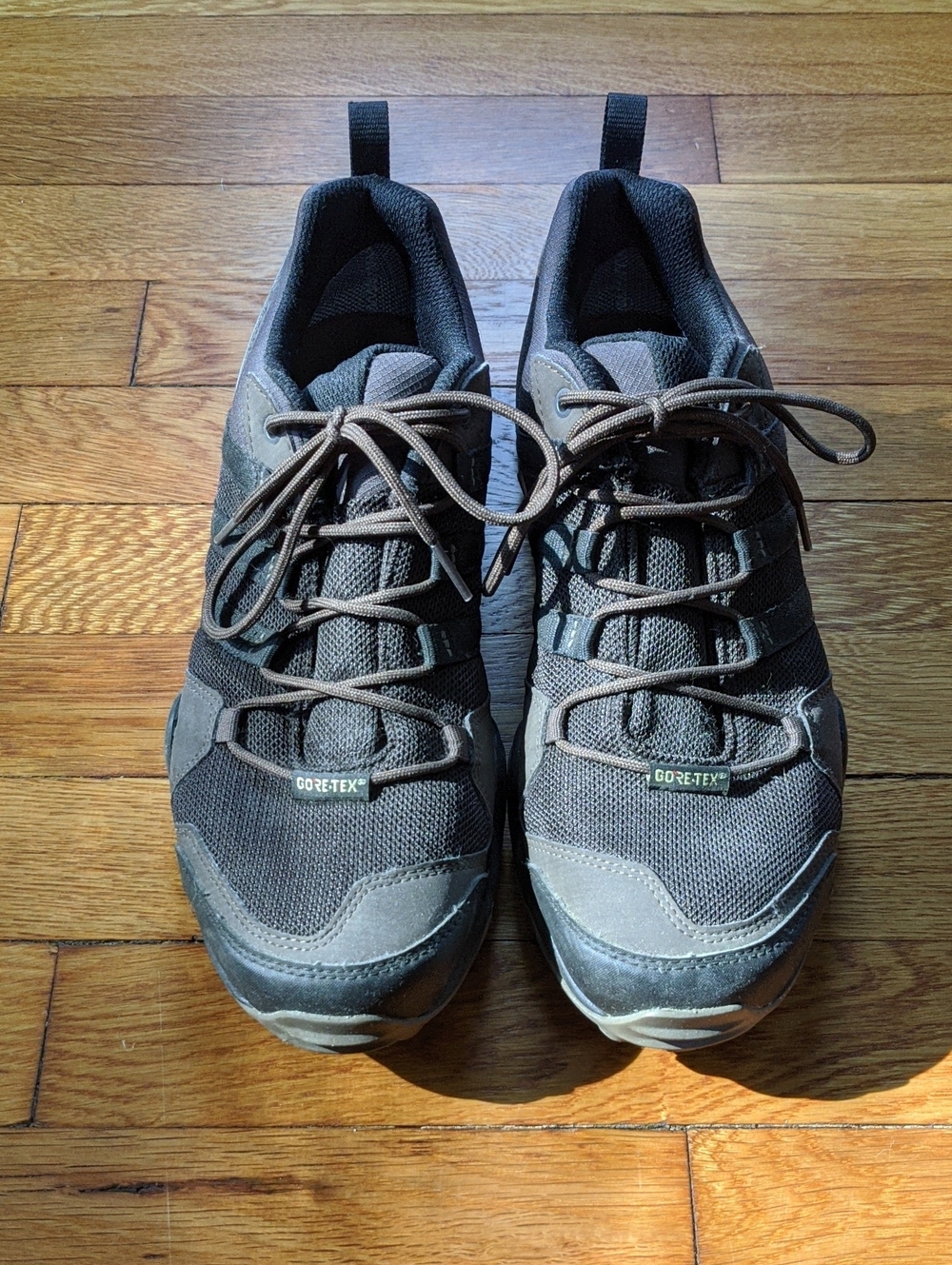 Adidas Gortex Hiking Shoes